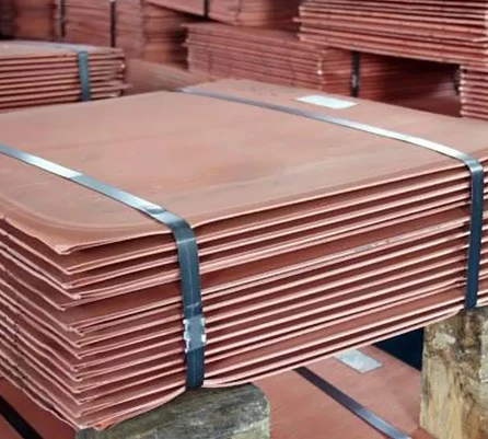 product-446-401 product-446-401